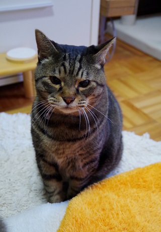 そして何そのお口のプクプク