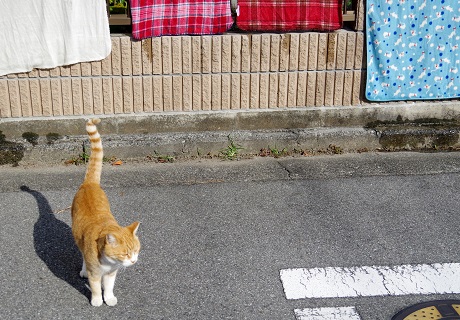 アシスタントBくん