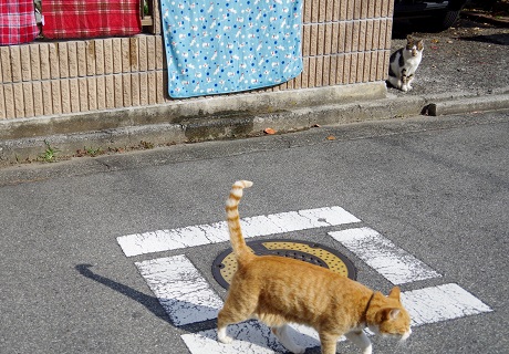 サボるアシスタントBくん