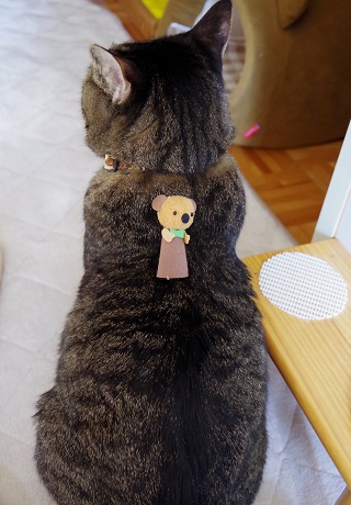 ここはどこ?