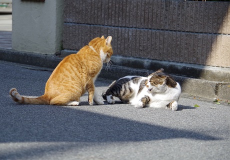うなーさん怒る