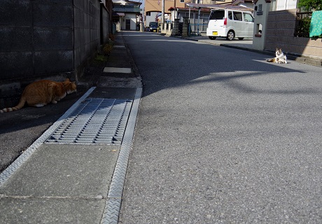 ターゲット発見