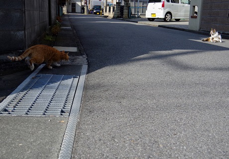 止める間もなく