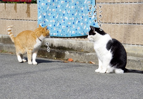 諭す長兄