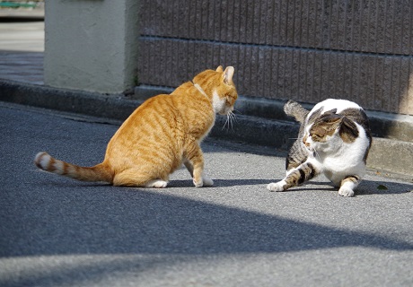 うなーさん劣勢