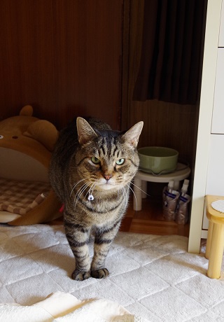 お水飲んだ