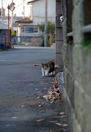 遅ーい