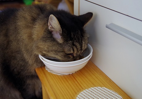 朝食の続き