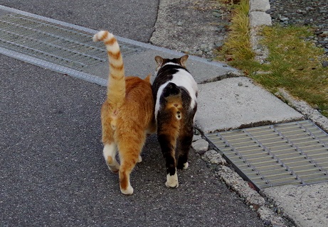 二人三脚