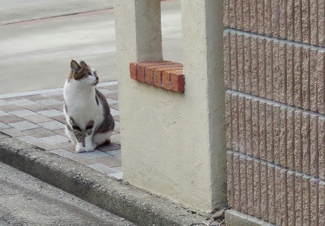 1うなーさん
