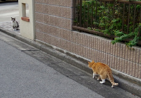 2忍び寄る魔の手