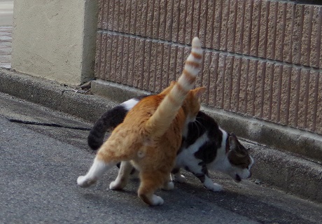 10まったくもう