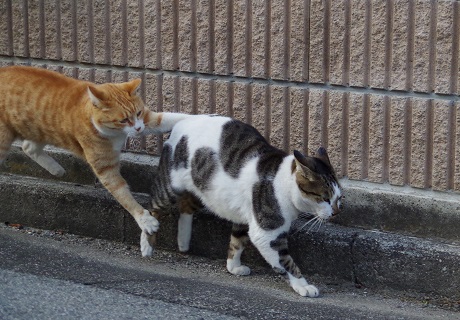 11いいかげんにしなさい