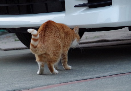 (13)身に覚えあり?なし?
