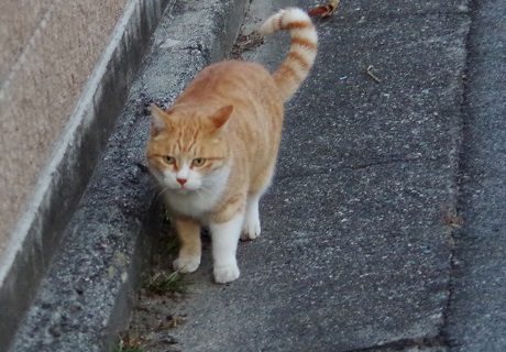 (16)みんな信じて