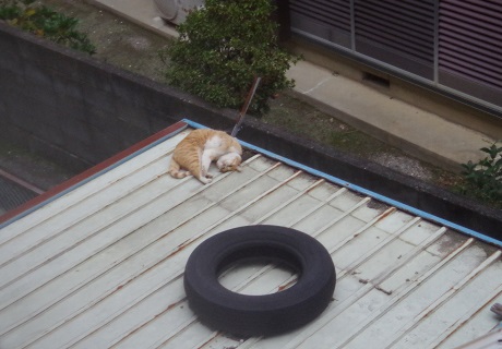 隅っこでクネクネ