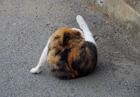 もう怒った