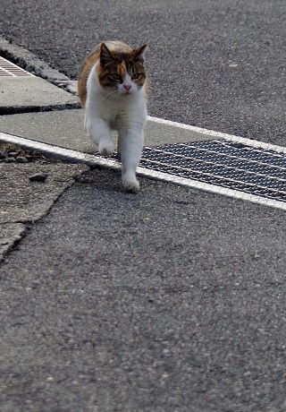 たくましい腕