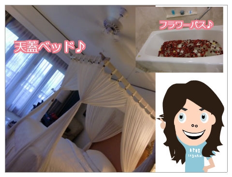 アヤナ宿泊体験2