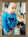 picute20121102134803.jpg