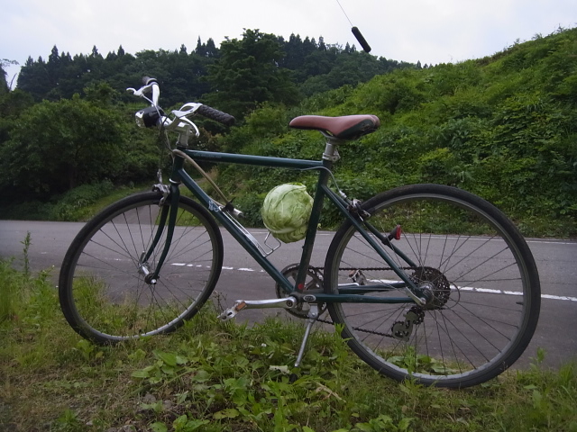6,5朝