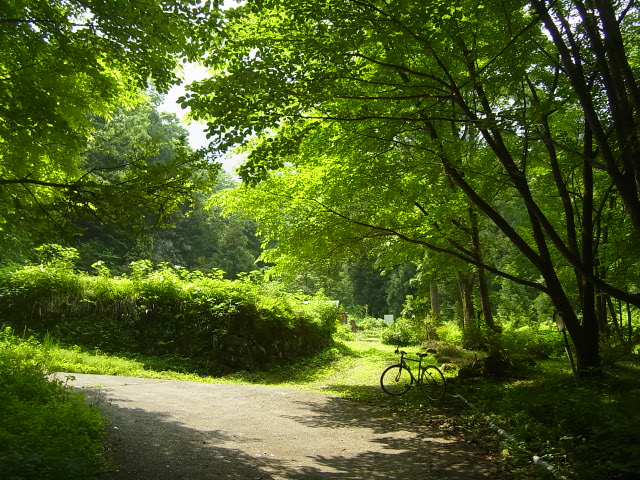 6,6朝3