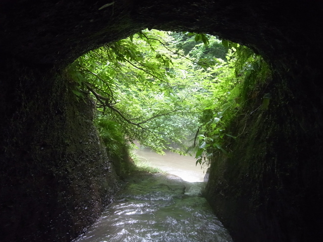 7,25朝