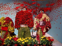 s-IMG_1886.jpg