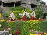 s-IMG_1895.jpg