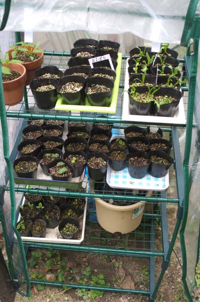 2013_05_03_02.jpg