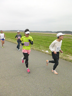 sakura-35km.png