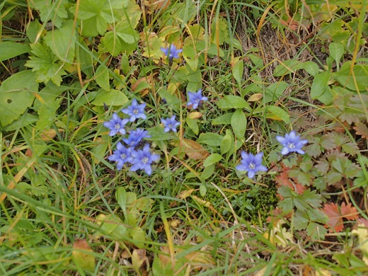 121007-11.jpg