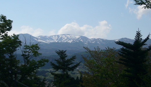 P1020166-1.jpg