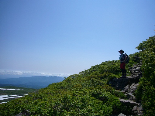 P1030153-1.jpg