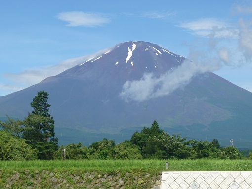 P1030665-1.jpg
