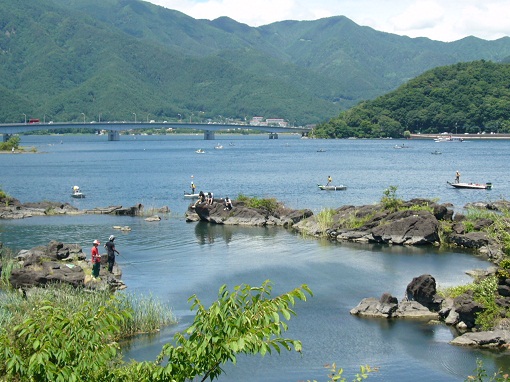 P1030803-1.jpg