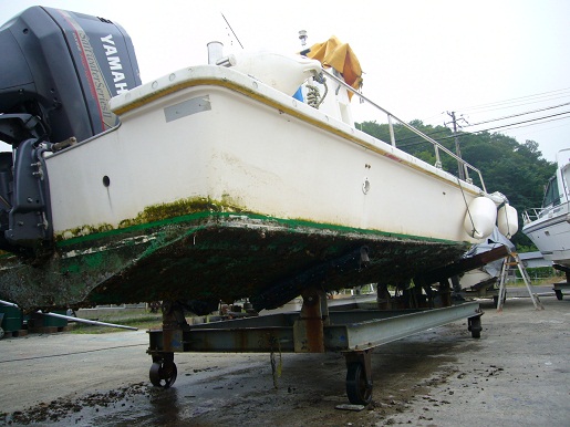 P1050402-1.jpg