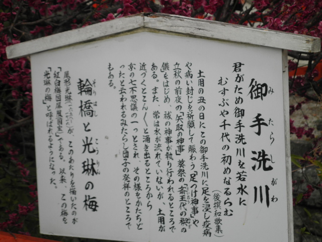 御手洗池2