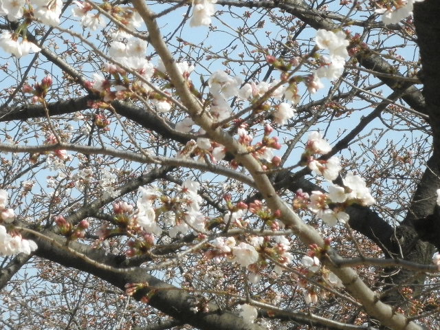 土佐稲荷3