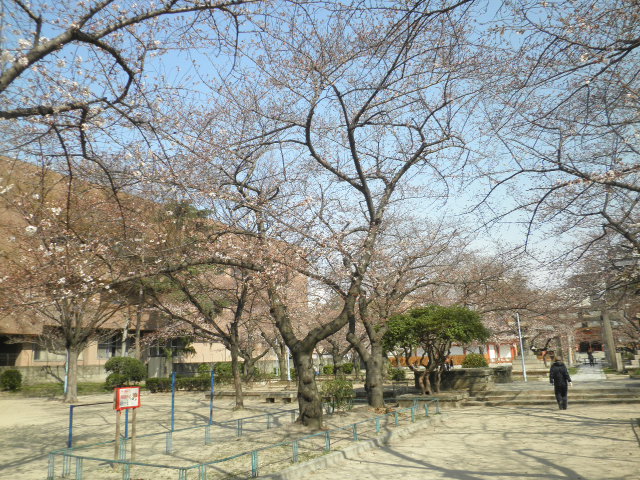 土佐稲荷2