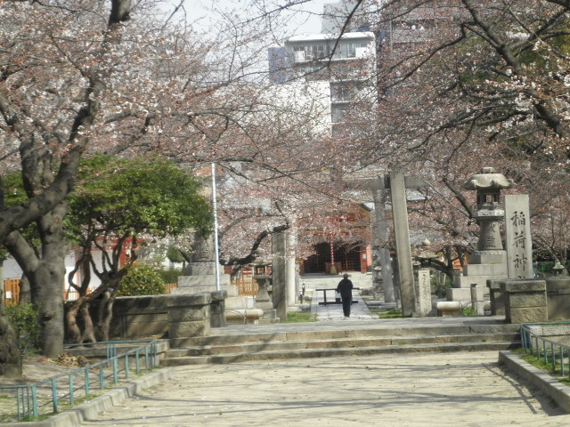 土佐稲荷1