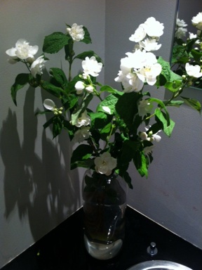 image_20130608111643.jpg