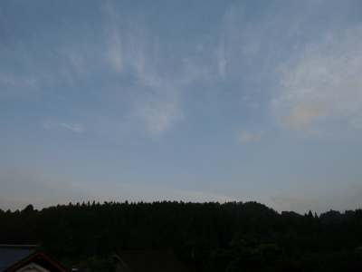 CIMG0301.jpg