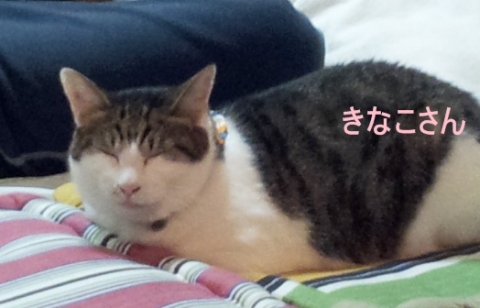 20141019_234421.jpg