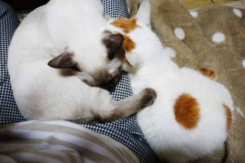 ずずりあん