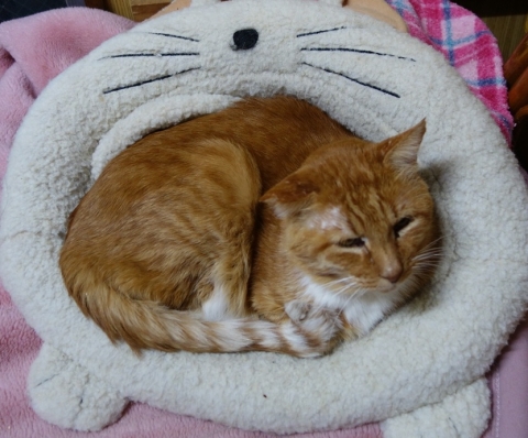 DSC02733.jpg