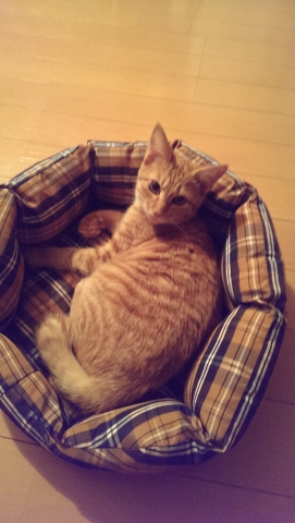 IMAG0034.jpg