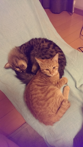 IMAG0040.jpg