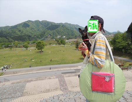 広いね~
