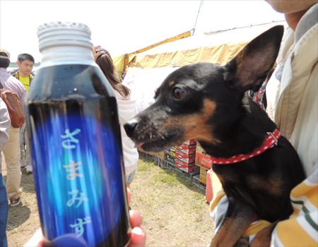 ざま水